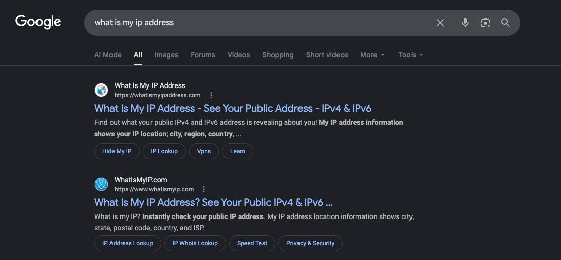 Google search results for what is my ip address showing exact match IP address domains ranking at the top.
