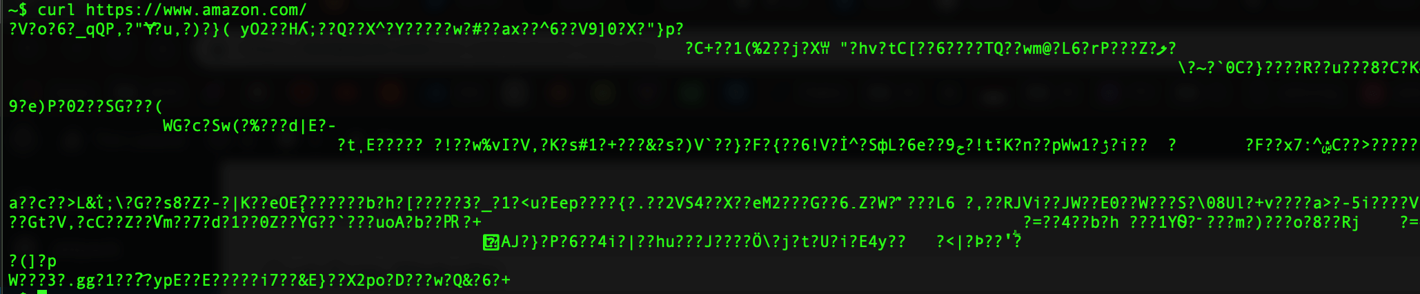 Curl gzip Website