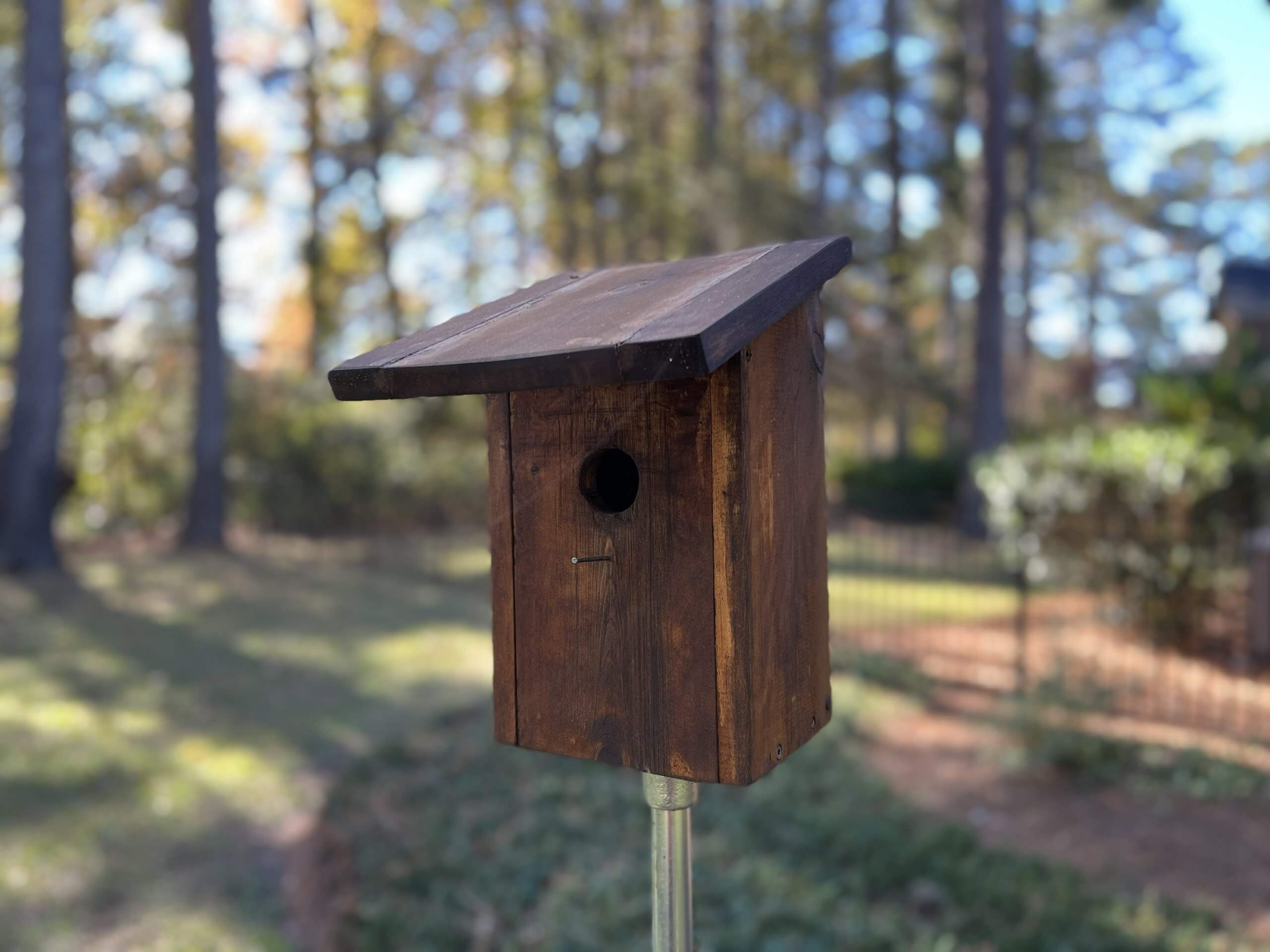 Bluebird House With Camera Tim Leland